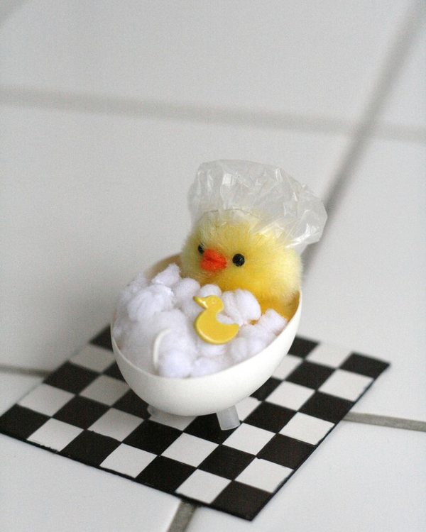 A blown egg tub with a duck in it, standing on a hand-drawn checkerboard floor